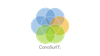 ConoSurIT logo