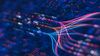 Neural flow network visualization